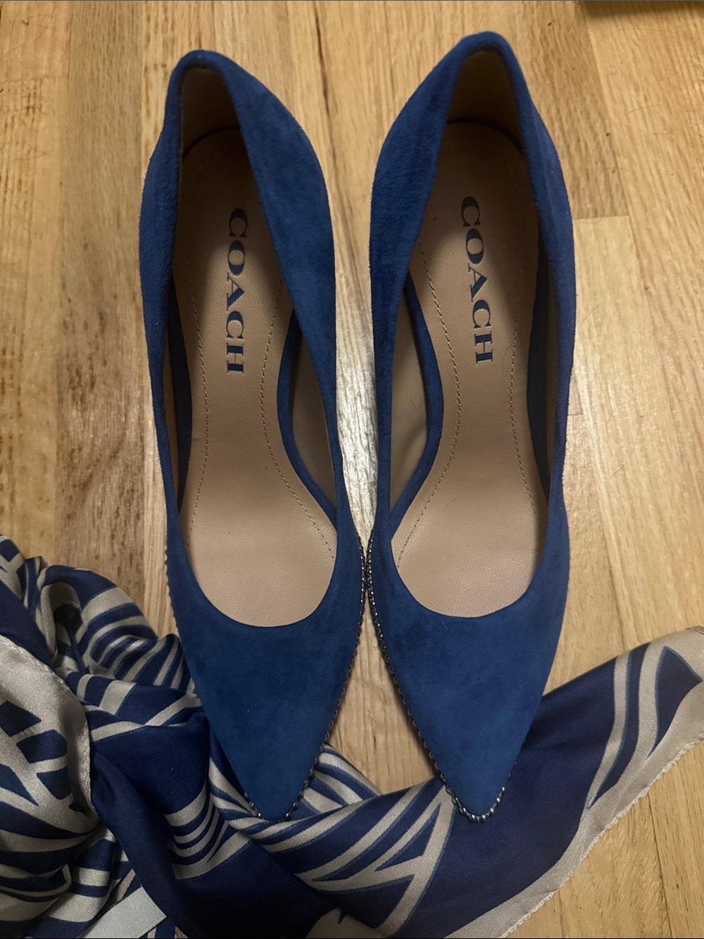 COACH Blue Suede Pointed Toe Pumps